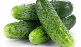 一丝凉爽吃瓜视频大全免费观看,免费观看一丝凉爽吃瓜视频大全